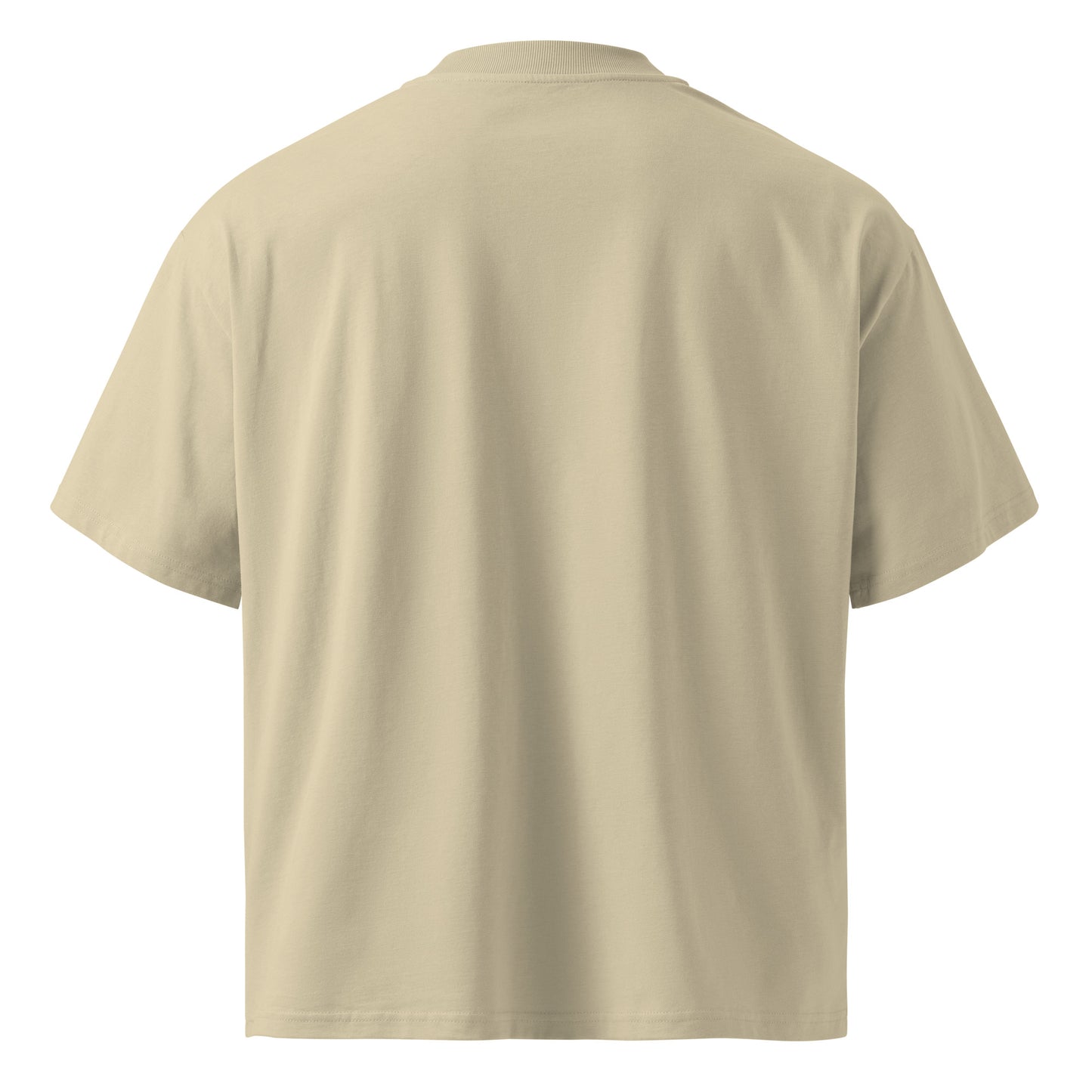 Beige-Bomb The System Graffiti Tee by Shew from B.Different Clothing, back view, graffiti-inspired streetwear, oversized heavyweight t-shirt