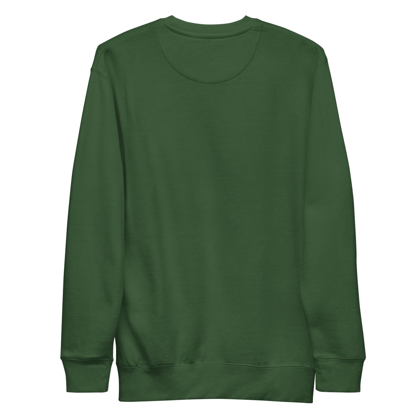 Green-Mission Graffiti Piece Sweatshirt from B.Different Clothing, back view, graffiti-inspired streetwear