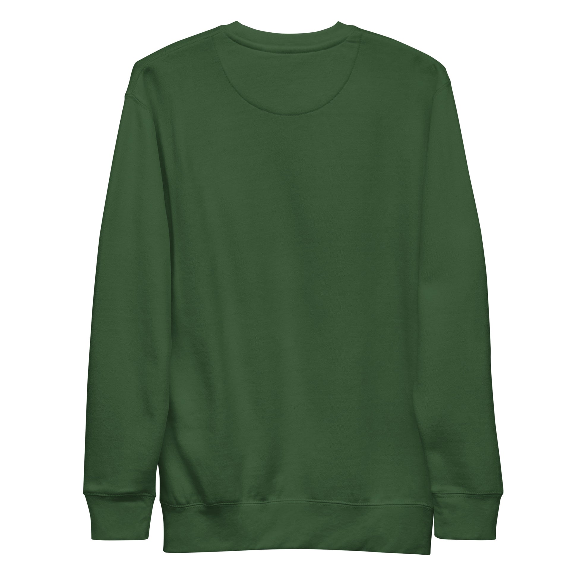 Green-Vandal Teddy Bear Graffiti Sweatshirt from B.Different Clothing, back view, graffiti-inspired streetwear