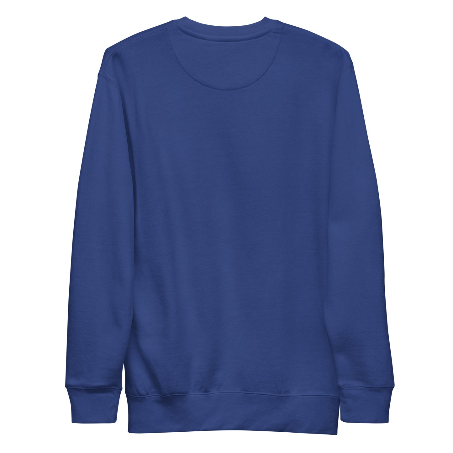 Blue-Molotov Graffiti Sweatshirt from B.Different Clothing, back view, graffiti-inspired streetwear